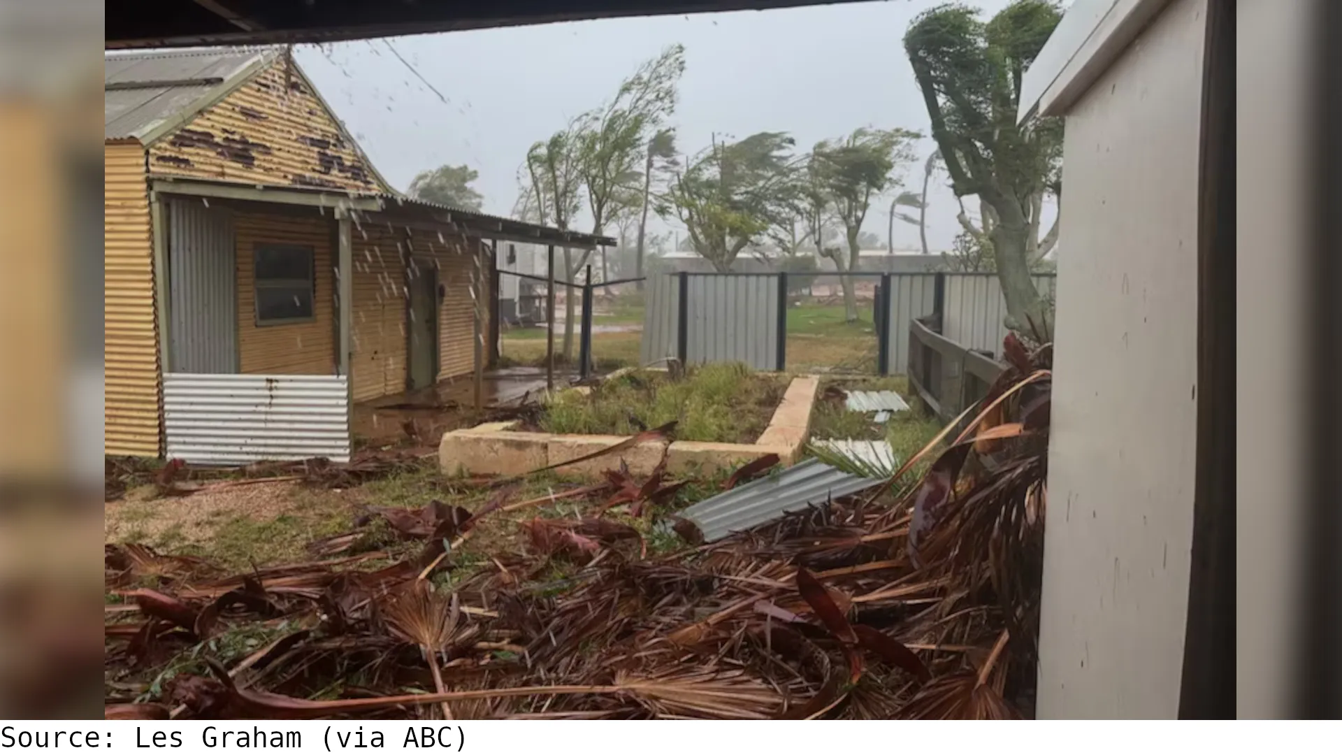 A photo of a backyard with fallen flora all over the ground
