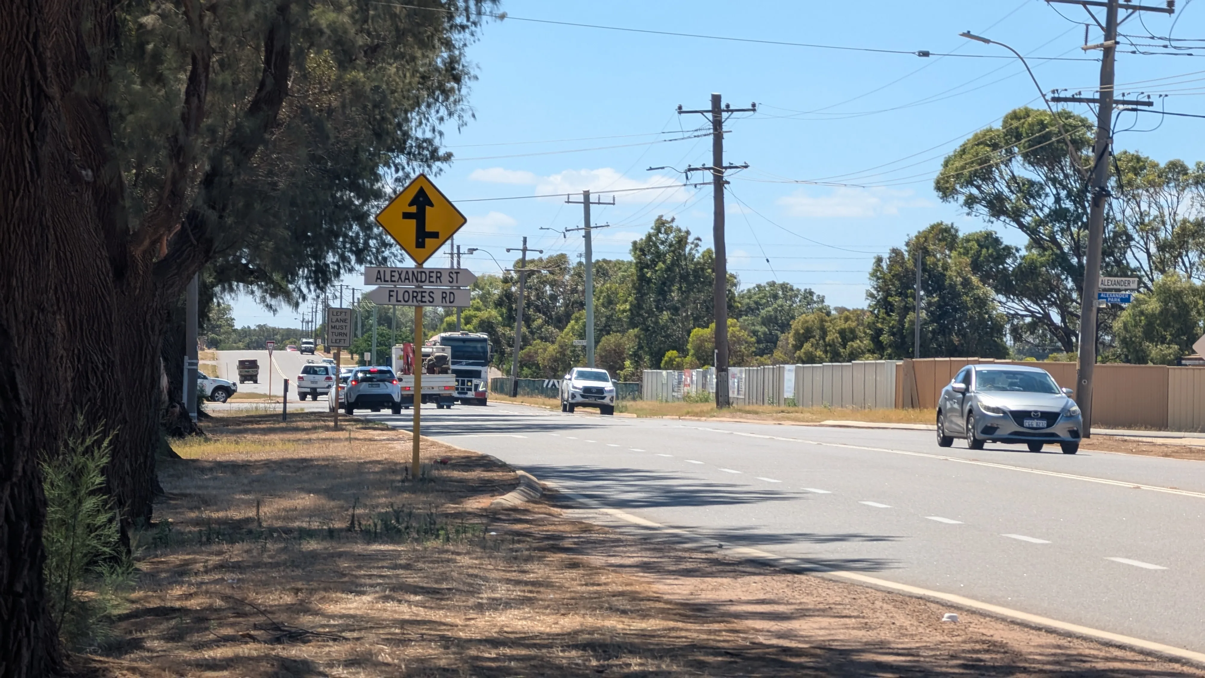 A photo of metalic emus on a roundabout