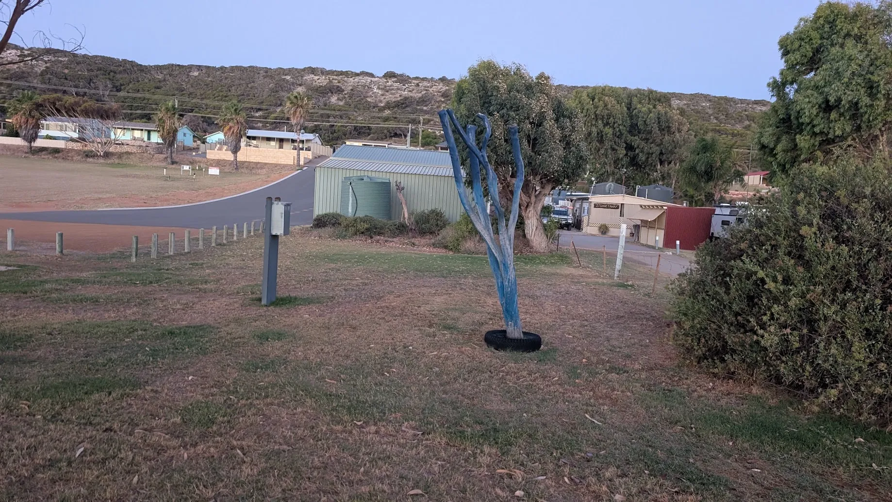 A photo of a patch of grass, where the main subject is a blue tree with no leaves.