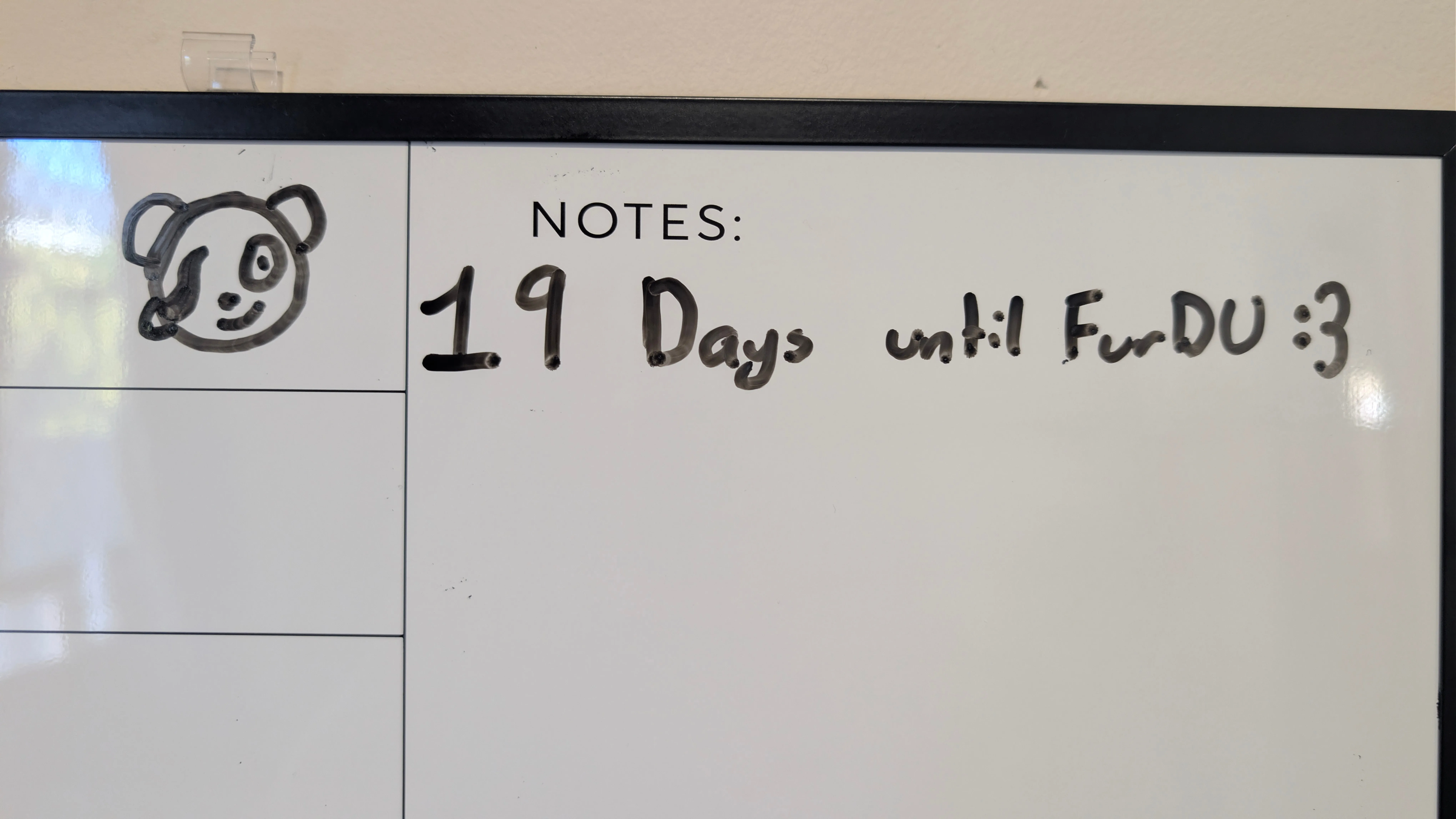 A photo of a whiteboard. It contains a teddy bear drawing on the left and text on the right that says '19 Days until FurDU :3'